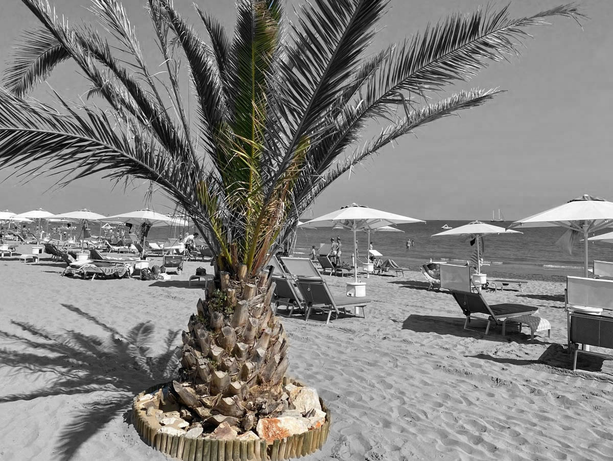 Palma e ombrelloni in spiaggia a Lignano